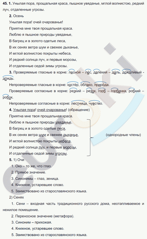 Русский язык 6 класс. ФГОС Разумовская Задание 45