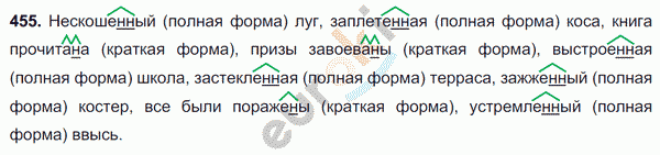 Рус яз 6 класс 455. Русский язык шестой класс упражнение 455. Русский 6 класс 455 упражнение. Русский язык 6 класс упражнение 455.