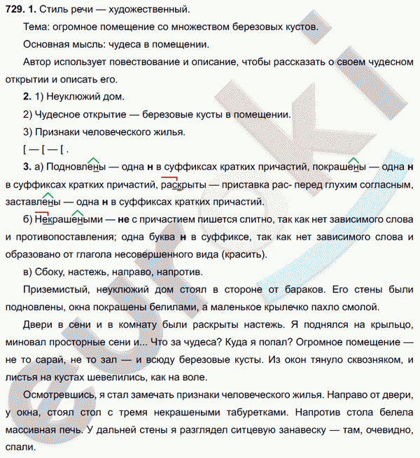 Русский язык 6 класс. ФГОС Разумовская Задание 729