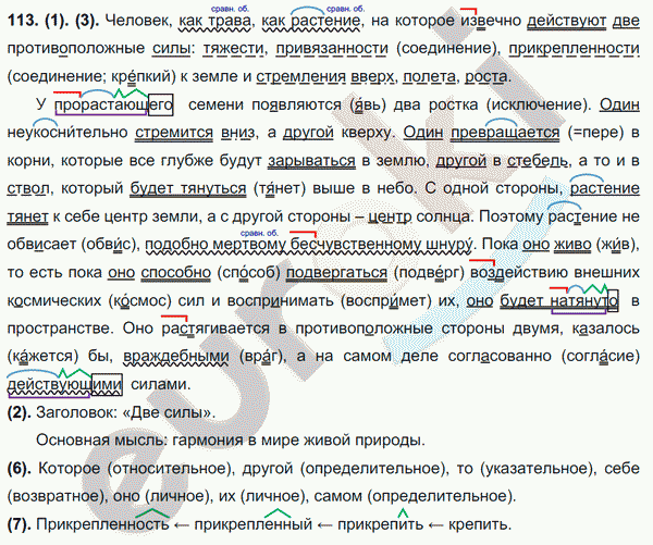Русский язык 7 класс. ФГОС Разумовская Задание 113