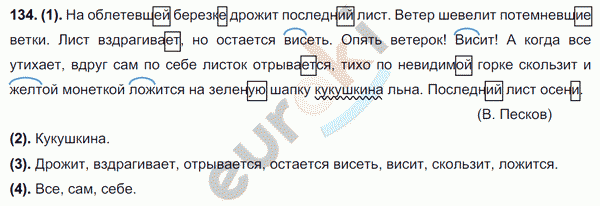 Упражнение 134 4 класс. Русский язык 7 класс упражнение 134. Березке дрожит последний лист ветер. На облетевшей Березке дрожит последний. На облетевшей Березке дрожит последний лист синтаксический разбор.