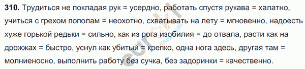 Русский язык 7 класс. ФГОС Разумовская Задание 310
