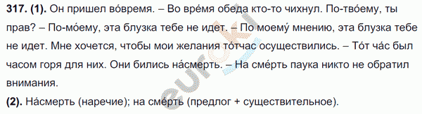 Русский язык 7 класс. ФГОС Разумовская Задание 317