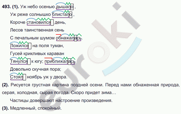 Русский язык 7 класс. ФГОС Разумовская Задание 493