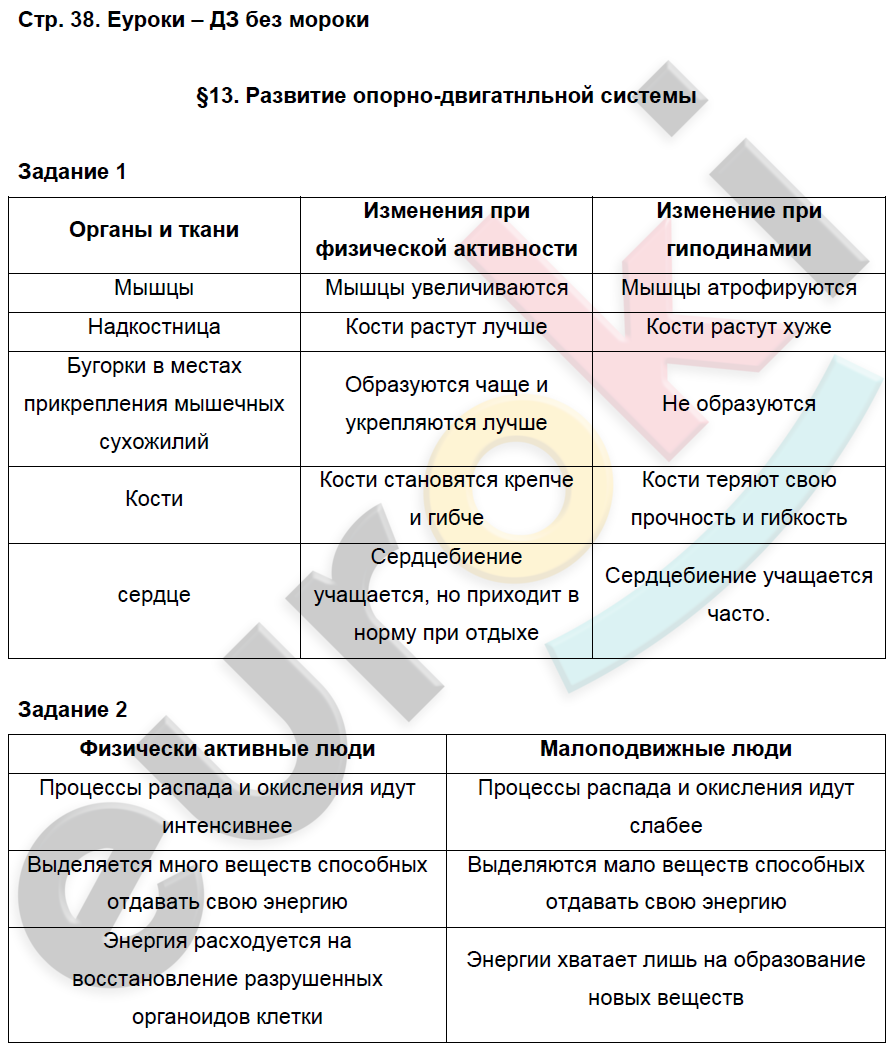 Рабочая тетрадь по биологии 8 класс. Часть 1, 2. ФГОС Маш, Драгомилов Страница 38