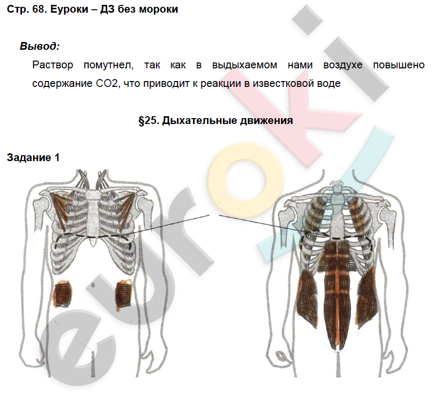 Рабочая тетрадь по биологии 8 класс. Часть 1, 2. ФГОС Маш, Драгомилов Страница 68