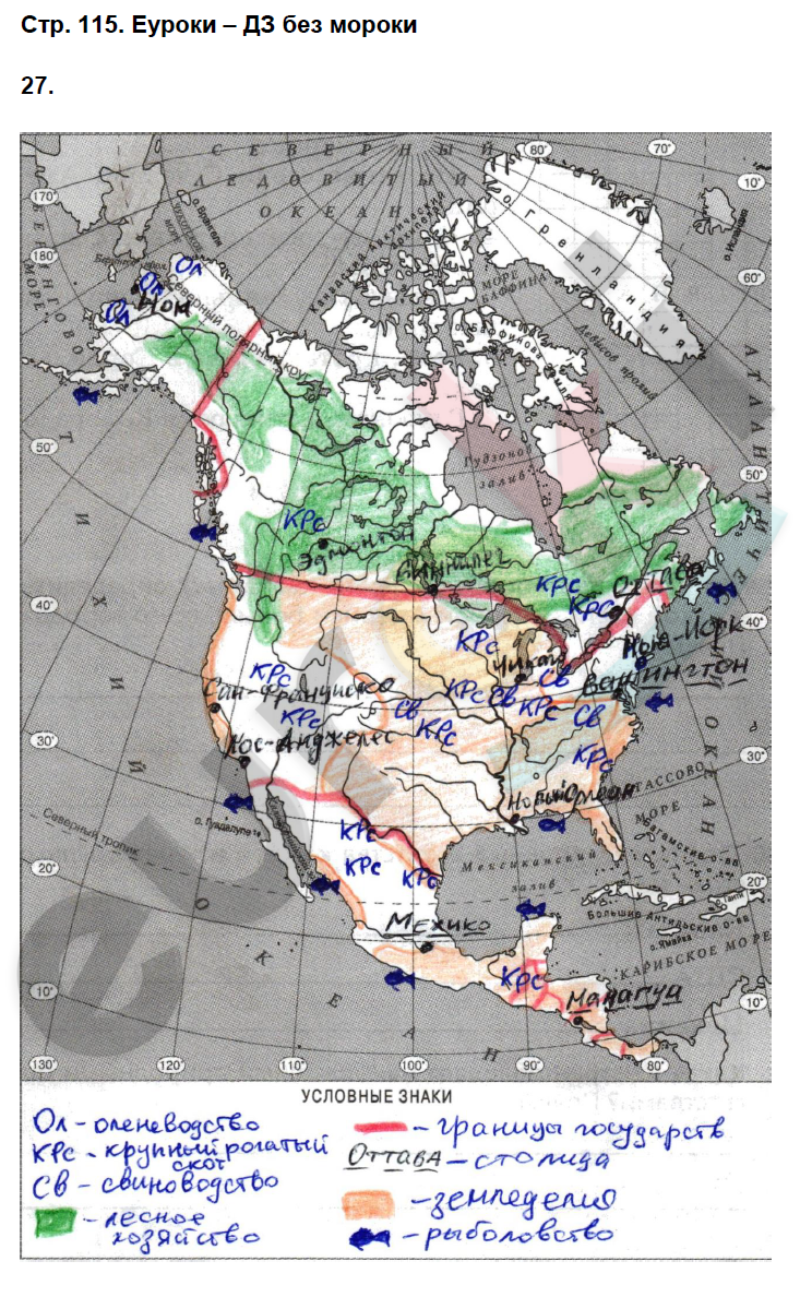 Рабочая тетрадь по географии 7 класс. ФГОС Душина (Материки) Страница 115