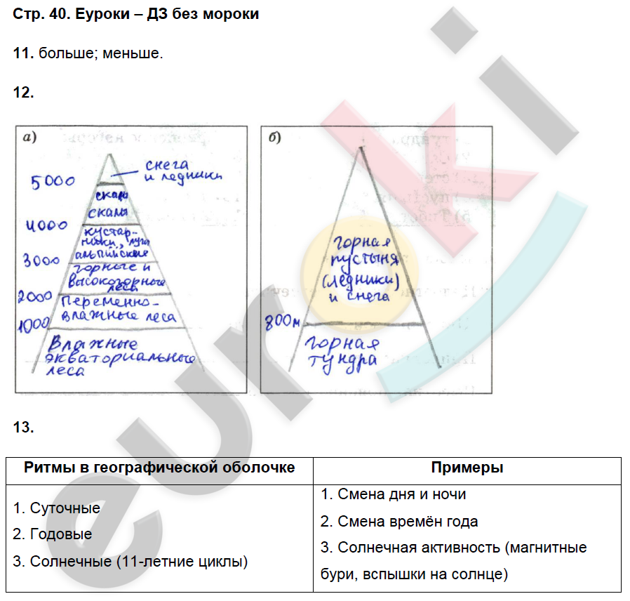 Рабочая тетрадь по географии 7 класс. ФГОС Душина (Материки) Страница 40