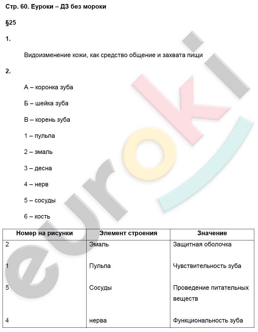 Рабочая тетрадь по биологии 8 класс. ФГОС Пасечник, Швецов Страница 60