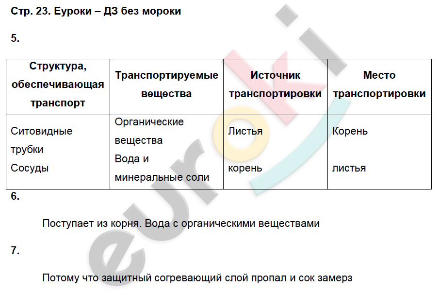 Рабочая тетрадь по биологии 6 класс. ФГОС Пасечник, Суматохин Страница 23