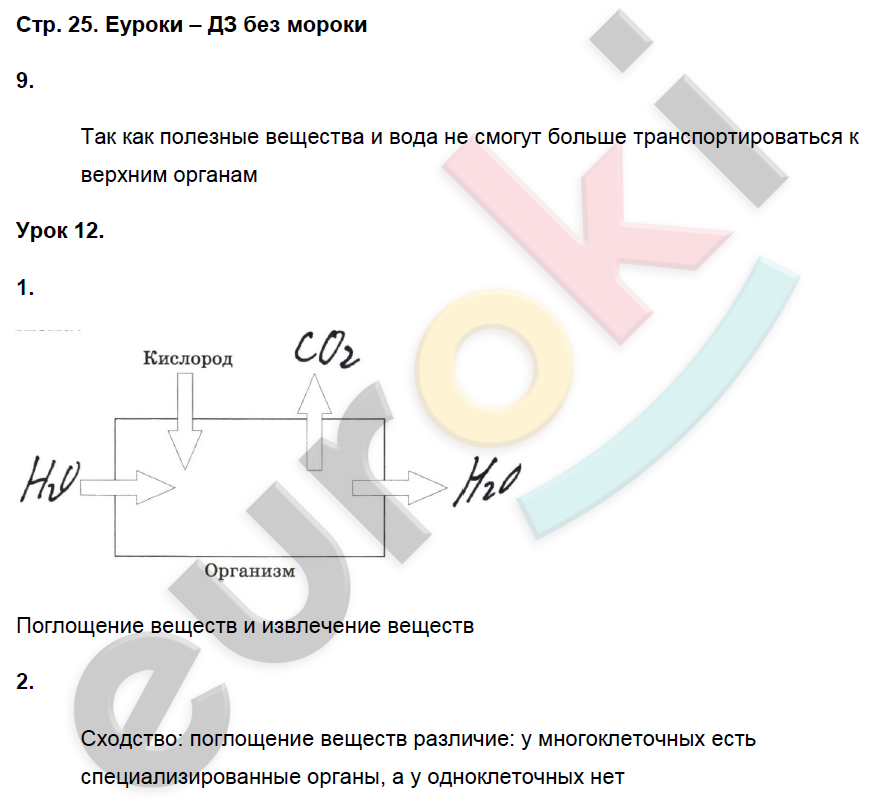 Рабочая тетрадь по биологии 6 класс. ФГОС Пасечник, Суматохин Страница 25