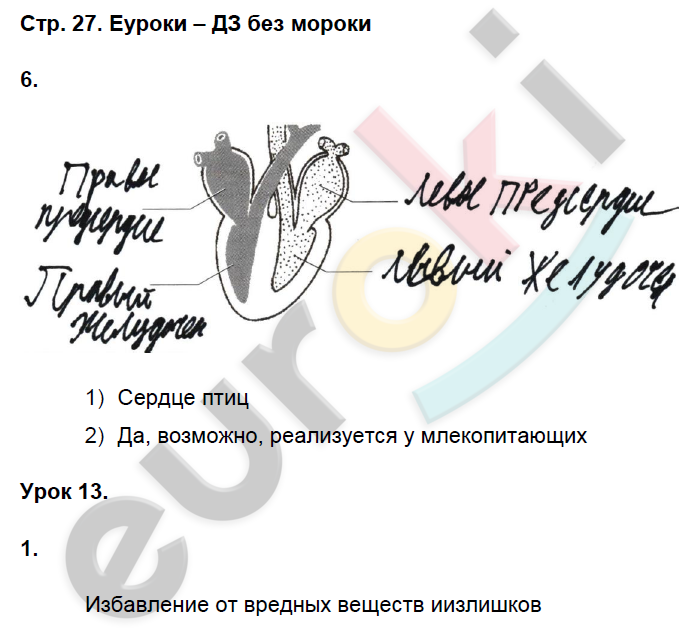 Тетрадь по биологии 6 класс пасечник 2023