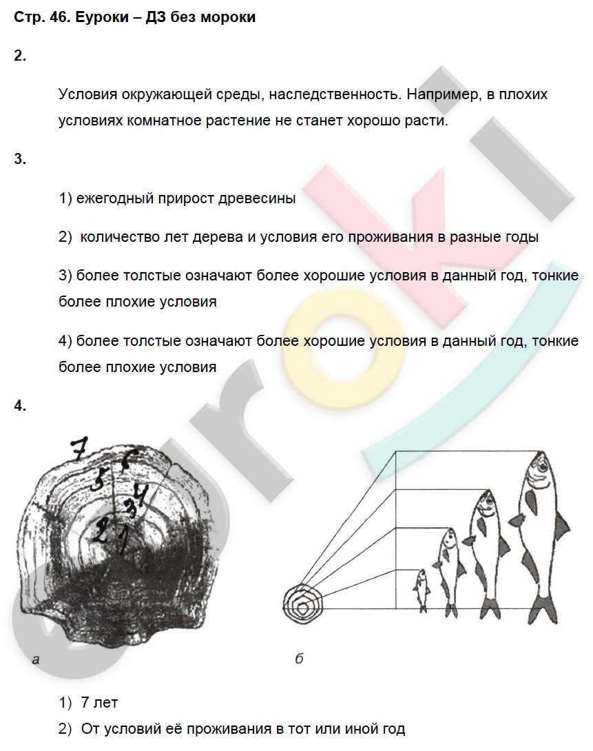 Биология 6 тетрадь пасечник. Биология 6 класс рабочая тетрадь Пасечник 2021.