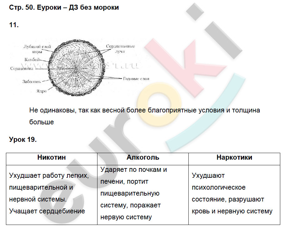 Технологическая карта урока биологии 5 класс