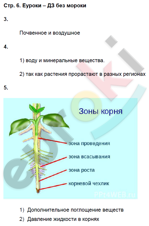 Технологическая карта урока по биологии 6 класс фгос пасечник