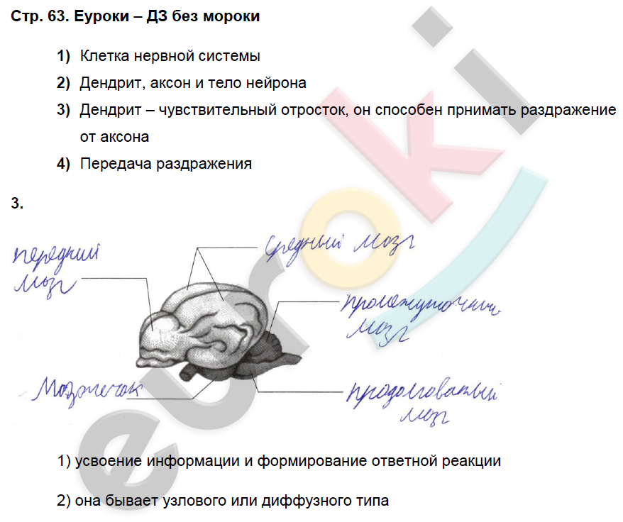 Рабочая тетрадь 6 класс фгос пасечник