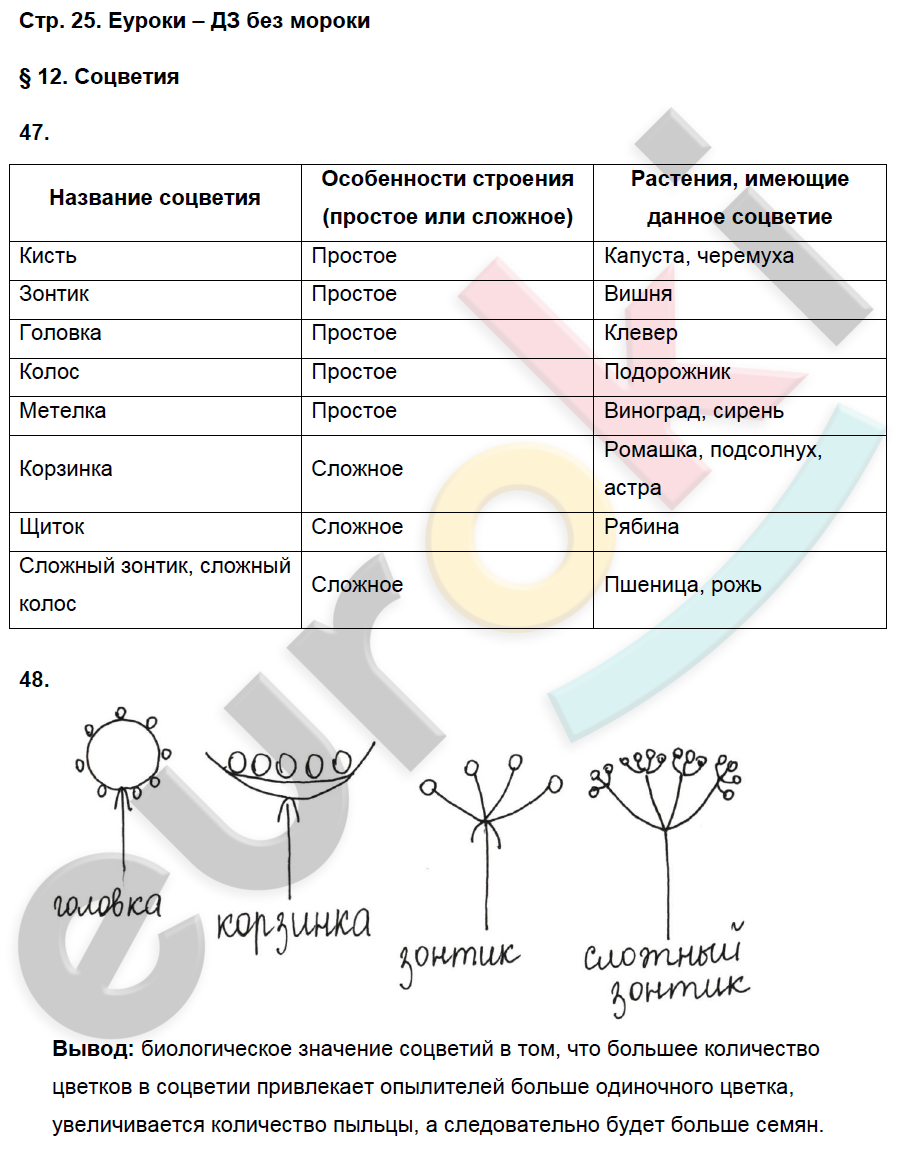 Биология шестой класс первый параграф