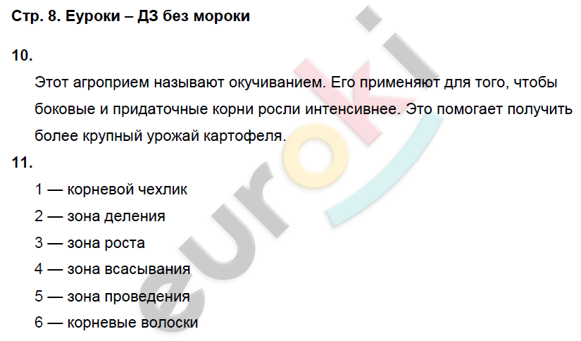 Учебник 8 класс пасечник ответы. Биология 6 класс рабочая тетрадь Пасечник ответы.