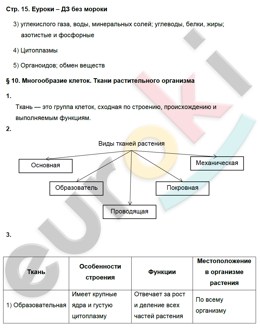 Рабочая тетрадь по биологии 6 класс. ФГОС Исаева, Романова Страница 15