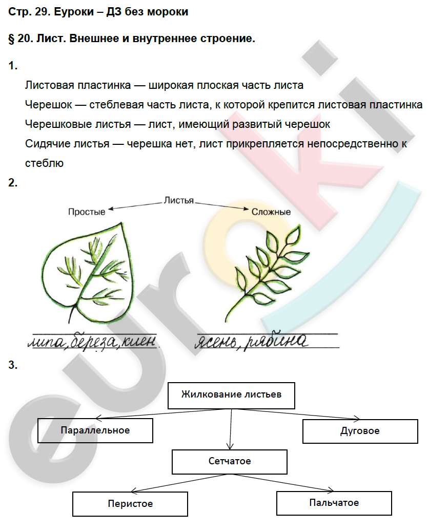 Лабораторная работа биология 6 класс строение листа. Гдз по биологии. Гдз биология 6 класс рабочая тетрадь. Домашние задания по биологии 6 класс. Гдз по биологии 6 класс рабочая тетрадь.