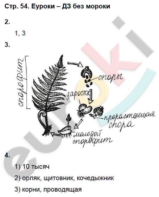 Рабочая тетрадь по биологии 6 класс. ФГОС Исаева, Романова Страница 54