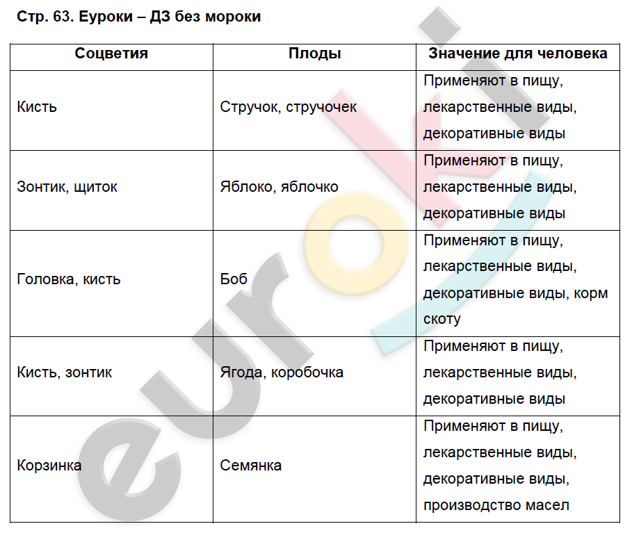 Биология 6 класс рабочая тетрадь 2023. Биология 6 класс Исаева рабочая тетрадь. Рабочая тетрадь по биологии 6 класс Исаева. Рабочая тетрадь по биологии 6 класс Исаева Романова ответы. Биология 6 класс Романова.