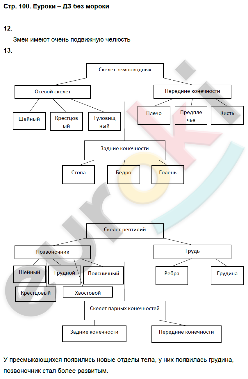 Рабочая тетрадь по биологии 7 класс. ФГОС Латюшин, Ламехова Страница 100