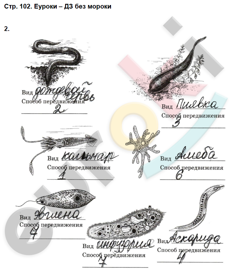 Рабочая тетрадь по биологии 7 класс. ФГОС Латюшин, Ламехова Страница 102