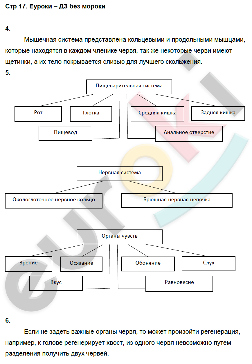 Рабочая тетрадь по биологии 7 класс. ФГОС Латюшин, Ламехова Страница 17