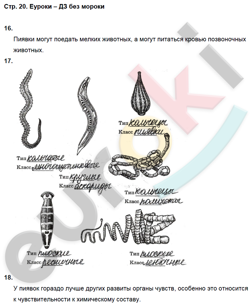Рабочая тетрадь по биологии 7 класс. ФГОС Латюшин, Ламехова Страница 20