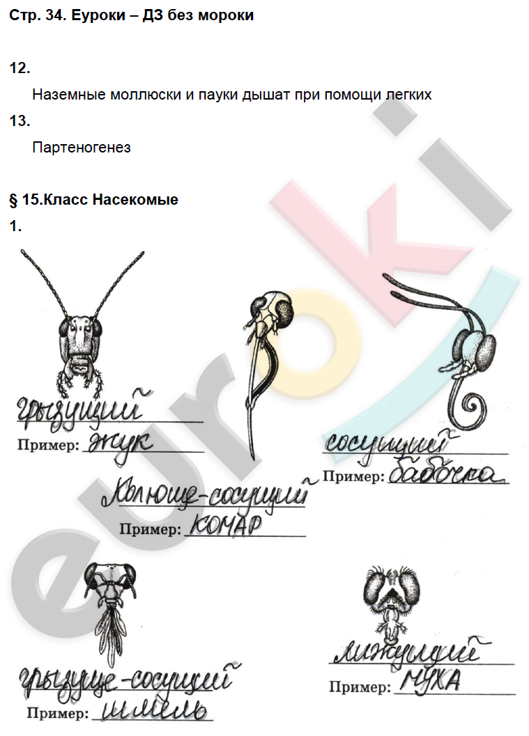 ГДЗ Рабочая тетрадь по биологии 7 класс. ФГОС. Страница 34