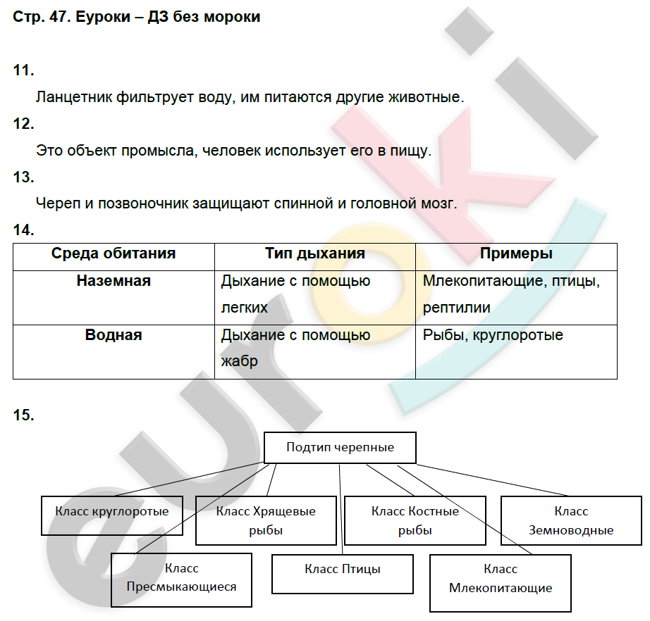 Рабочая тетрадь по биологии 7 класс. ФГОС Латюшин, Ламехова Страница 47