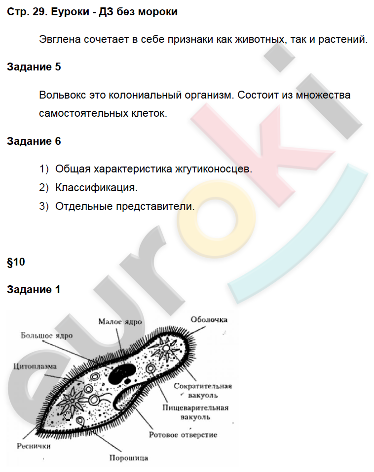 Биология 7 класс параграф 5. Домашнее задание по биологии 7 класс. Биология 7 класс рабочая тетрадь Суматохин. Конспект по биологии 6 класс Суматохин. Рабочая тетрадь клетка 7 класс биология Суматохин.