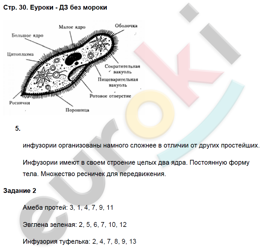 Рабочая тетрадь по биологии 7 класс. Часть 1, 2. ФГОС Суматохин, Кучменко Страница 30