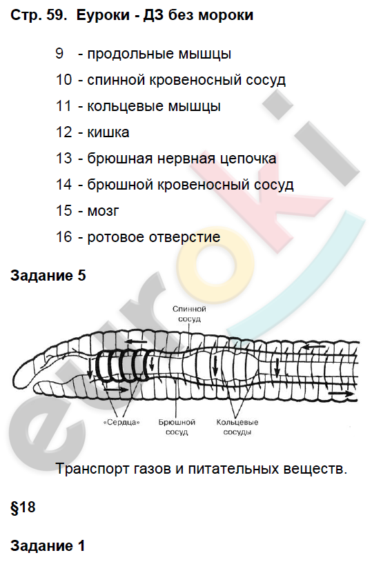 Рабочая тетрадь по биологии 7 класс. Часть 1, 2. ФГОС Суматохин, Кучменко Страница 59