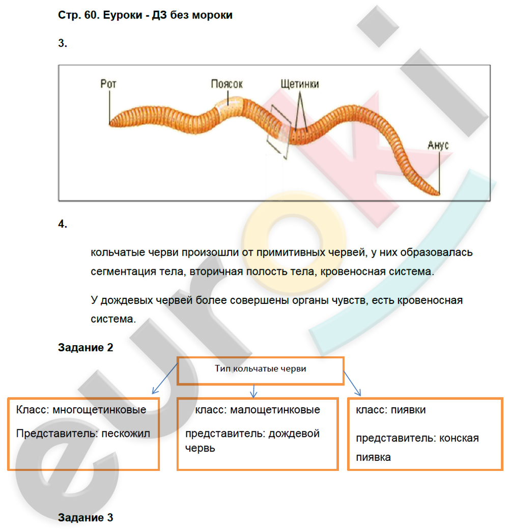 Рабочая тетрадь по биологии 7 класс. Часть 1, 2. ФГОС Суматохин, Кучменко Страница 60