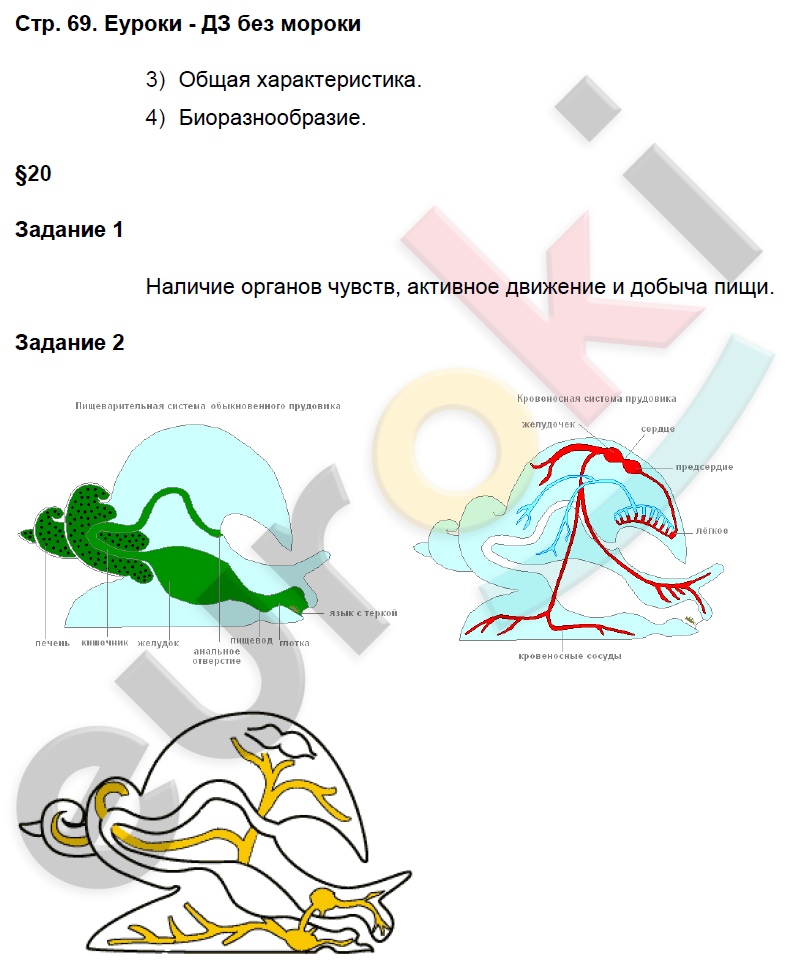 Рабочая тетрадь по биологии 7 класс. Часть 1, 2. ФГОС Суматохин, Кучменко Страница 69