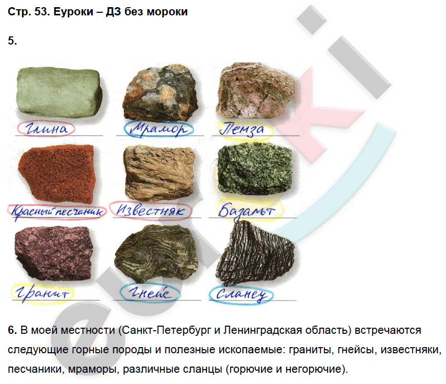 Рабочая тетрадь по географии 5 класс. ФГОС Сонин, Курчина Страница 53