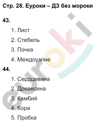 Рабочая тетрадь по биологии 6 класс. ФГОС Сонин (с пчелой) Страница 28