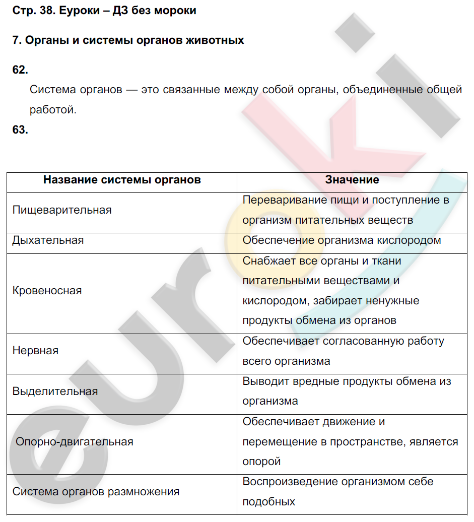 Рабочая тетрадь по биологии 6 класс. ФГОС Сонин (с пчелой) Страница 38