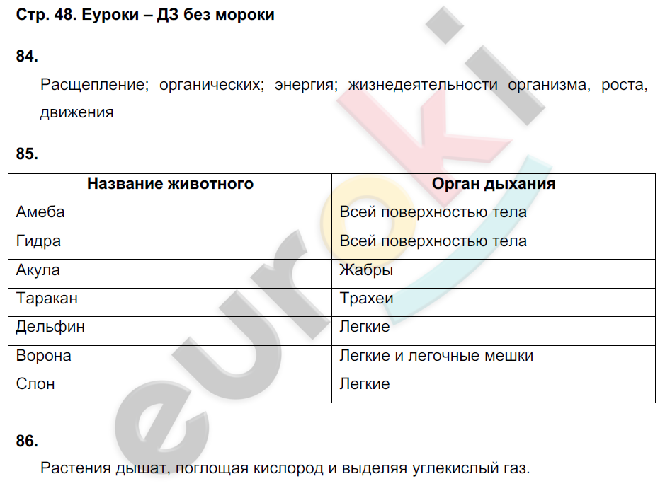 Рабочая тетрадь по биологии 6 класс. ФГОС Сонин (с пчелой) Страница 48