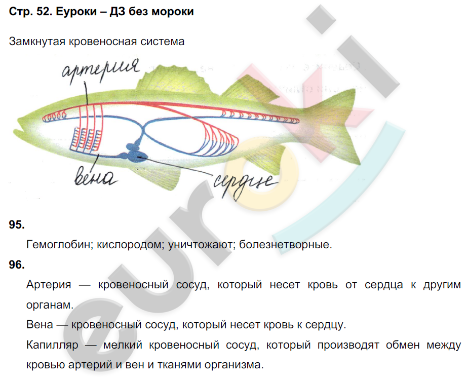 Рабочая тетрадь по биологии 6 класс. ФГОС Сонин (с пчелой) Страница 52