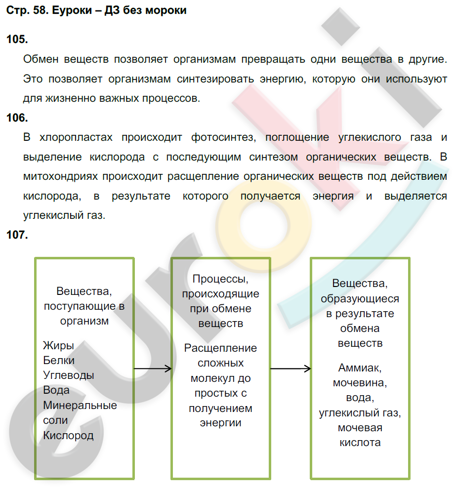 Рабочая тетрадь по биологии 6 класс. ФГОС Сонин (с пчелой) Страница 58