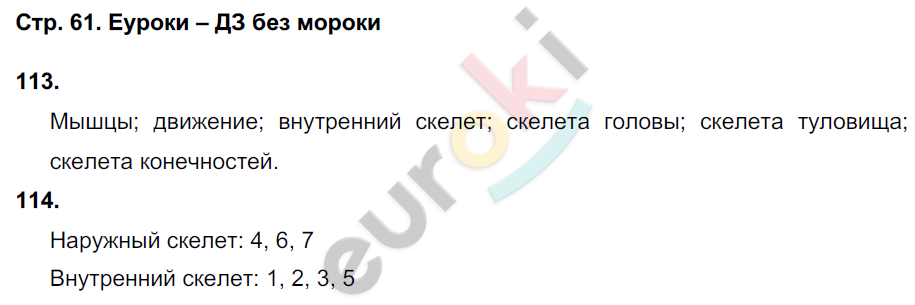 Рабочая тетрадь по биологии 6 класс. ФГОС Сонин (с пчелой) Страница 61