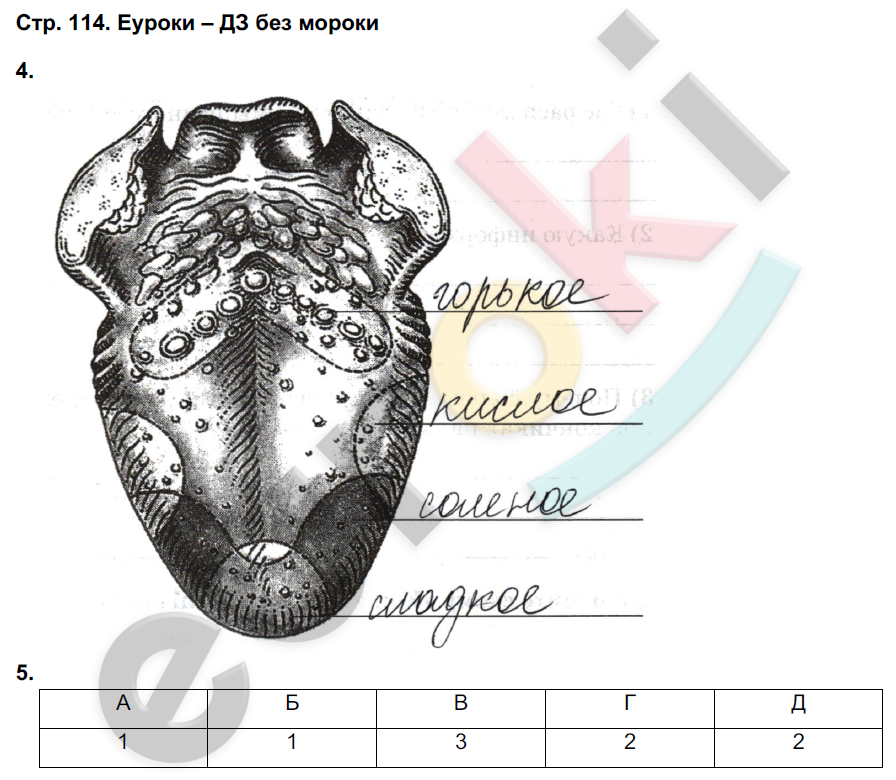 Рабочая тетрадь по биологии 8 класс. ФГОС Жемчугова, Романова Страница 114