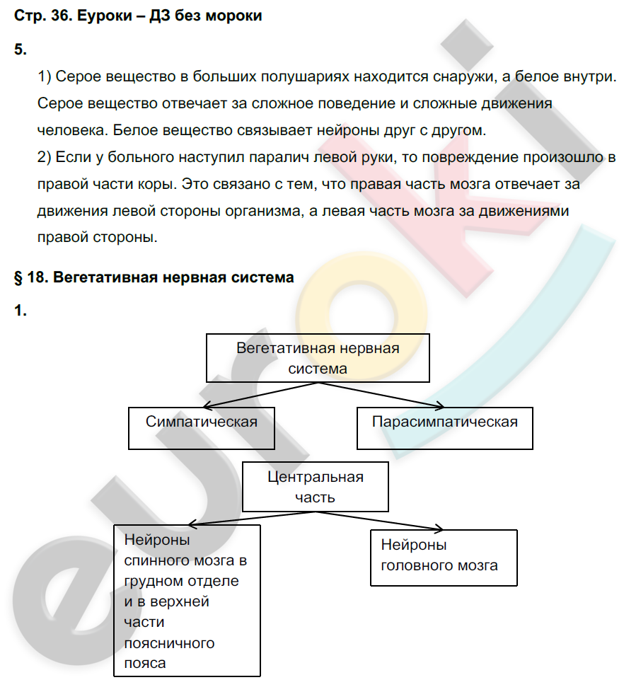 Рабочая тетрадь по биологии 8 класс. ФГОС Жемчугова, Романова Страница 36