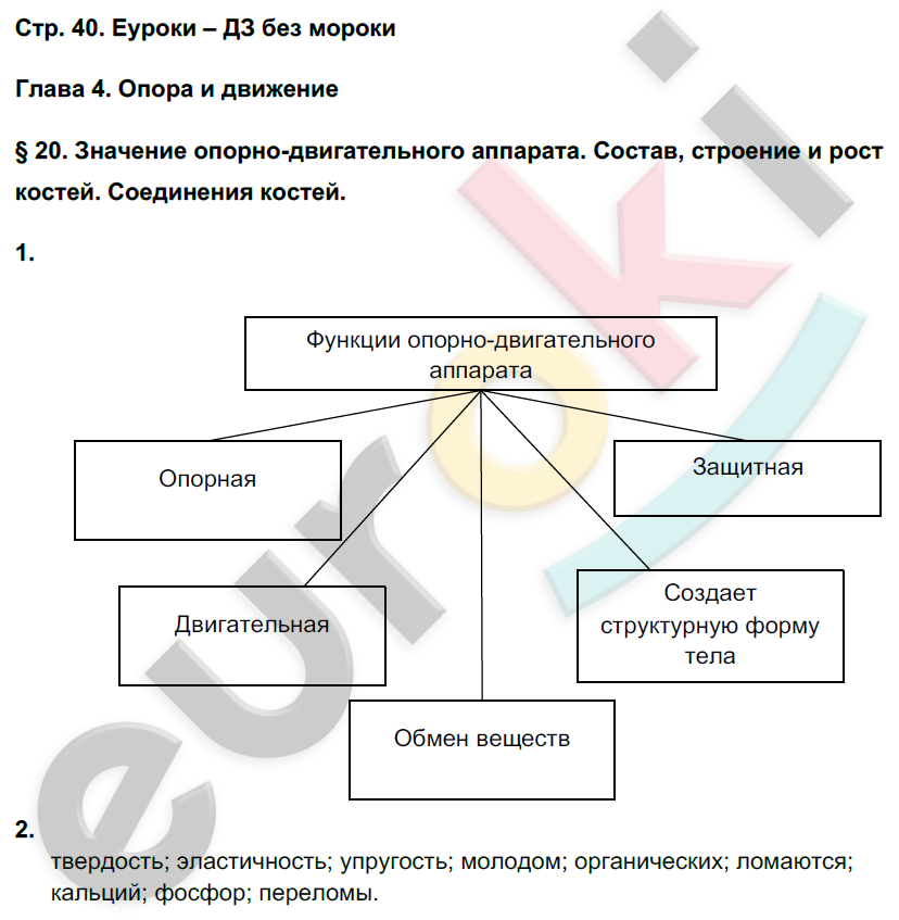 Рабочая тетрадь по биологии 8 класс. ФГОС Жемчугова, Романова Страница 40