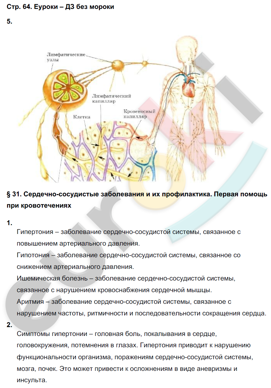 Рабочая тетрадь по биологии 8 класс. ФГОС Жемчугова, Романова Страница 64