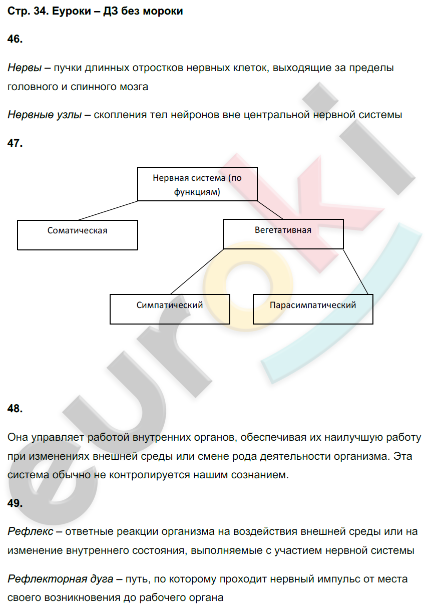 Рабочая тетрадь по биологии 8 класс. ФГОС Сонин, Агафонова Страница 34