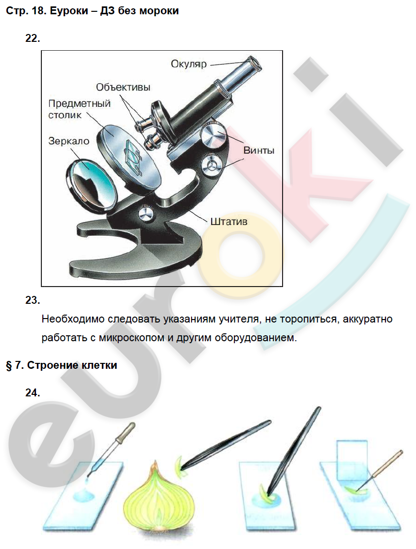 Уроки биологии по фгос пасечник. Рабочая тетрадь по биологии 5 класс Пасечник стр. 18. Рабочая тетрадь по биологии 5 класс Пасечник стр. 8. Биология в в Пасечник страница 54 строение цифрового микроскопа. Тетрадь по биологии 5 класс Пасечник стр 25.